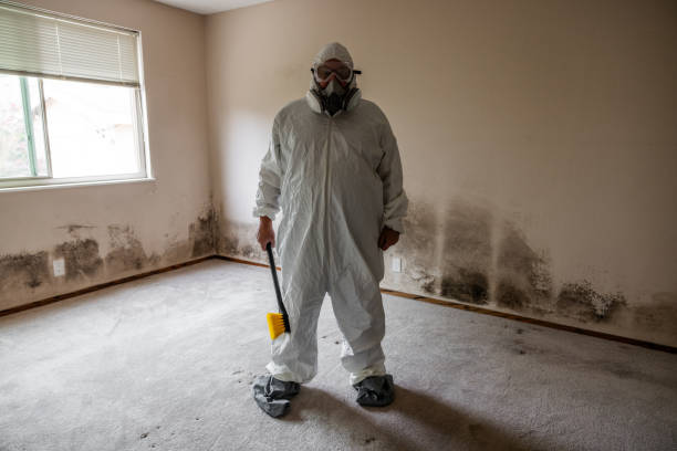 Reliable Georgetown, PA Mold Remediation Solutions